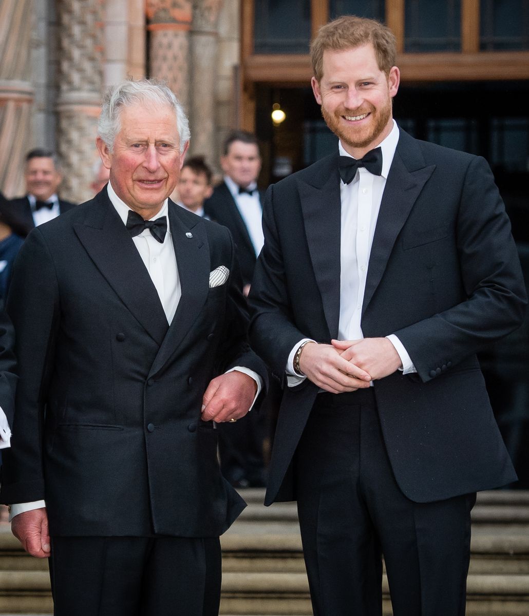 Prince Charles, Prince of Wales and Prince Harry, Duke of Sussex attend the "Our Planet" global premiere  at Natural History Museum on April 04, 2019 in London, England. 