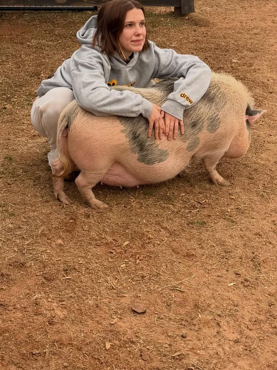 Brown shared a photo with her adorable pig