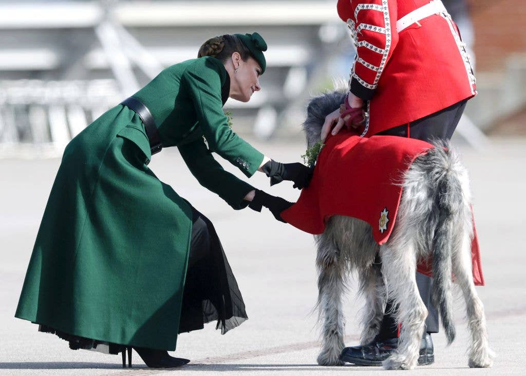 The Princess of Wales stroking irish wolfhound