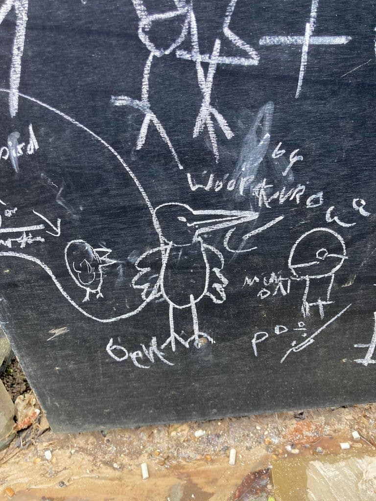 White chalk drawings on a blackbird