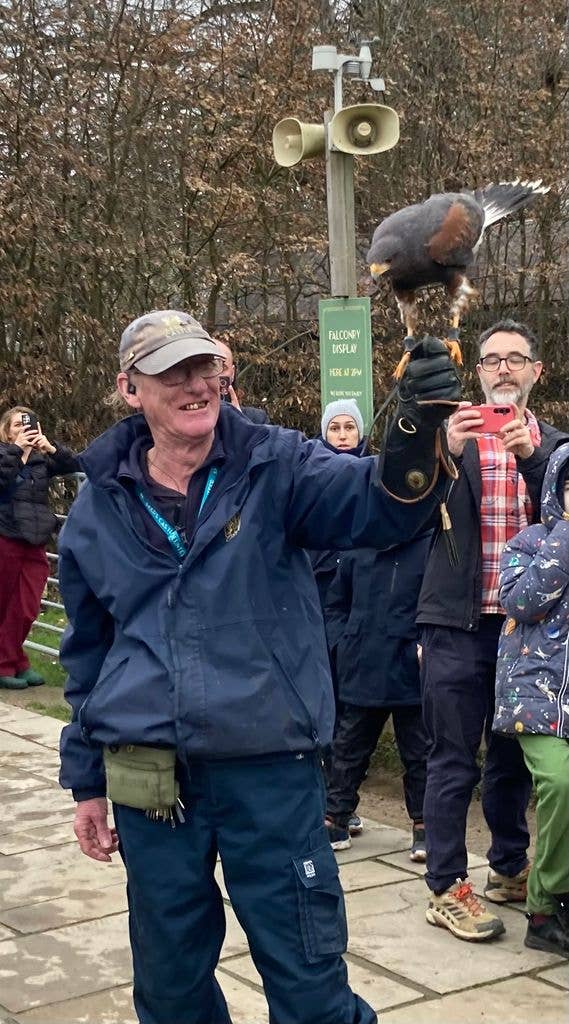 Man wearing a cap holding a hawk with people in the background