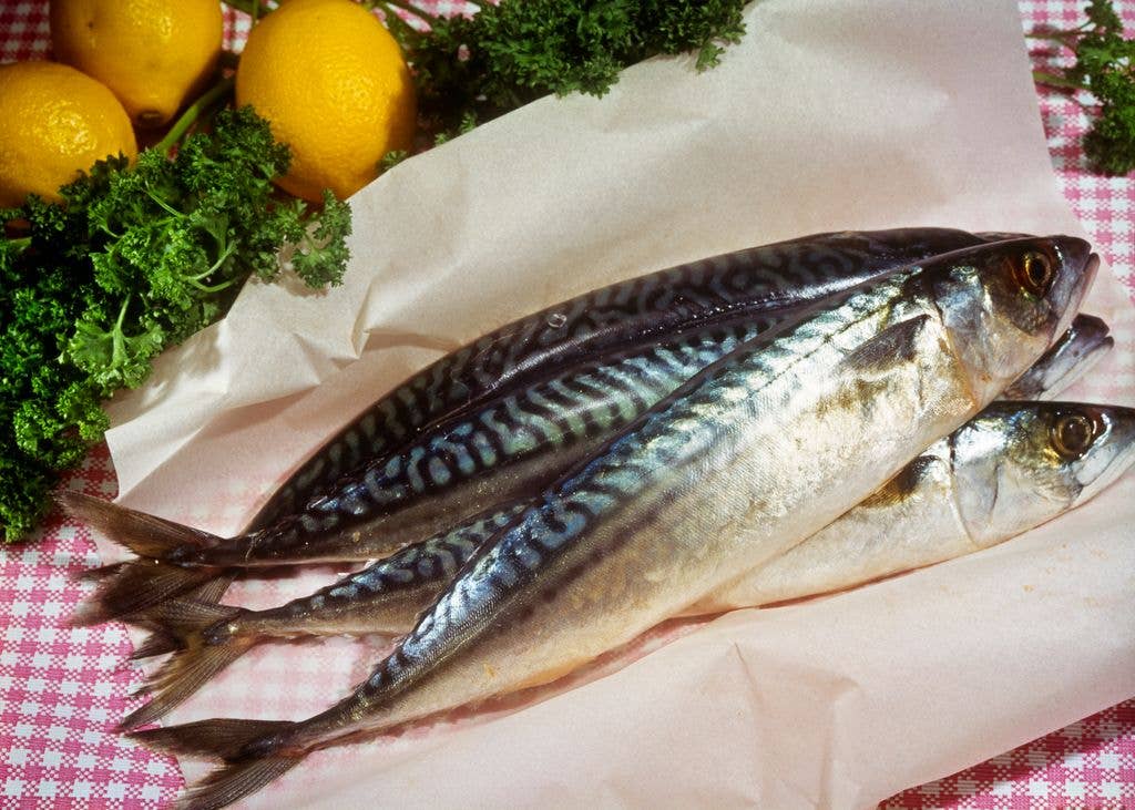Four fish on a piece of paper sat on a pink gingham cloth with decorative parsley and lemons.