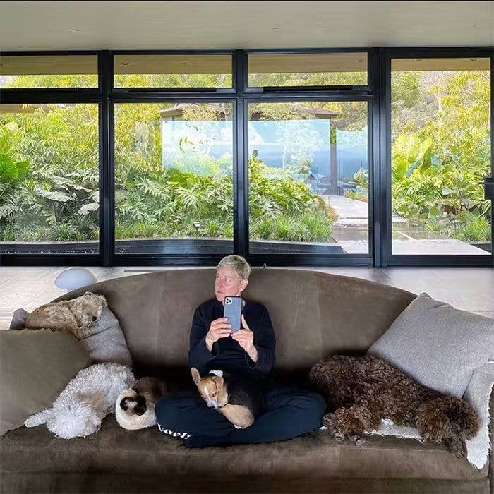 ellen degeneres home selfie