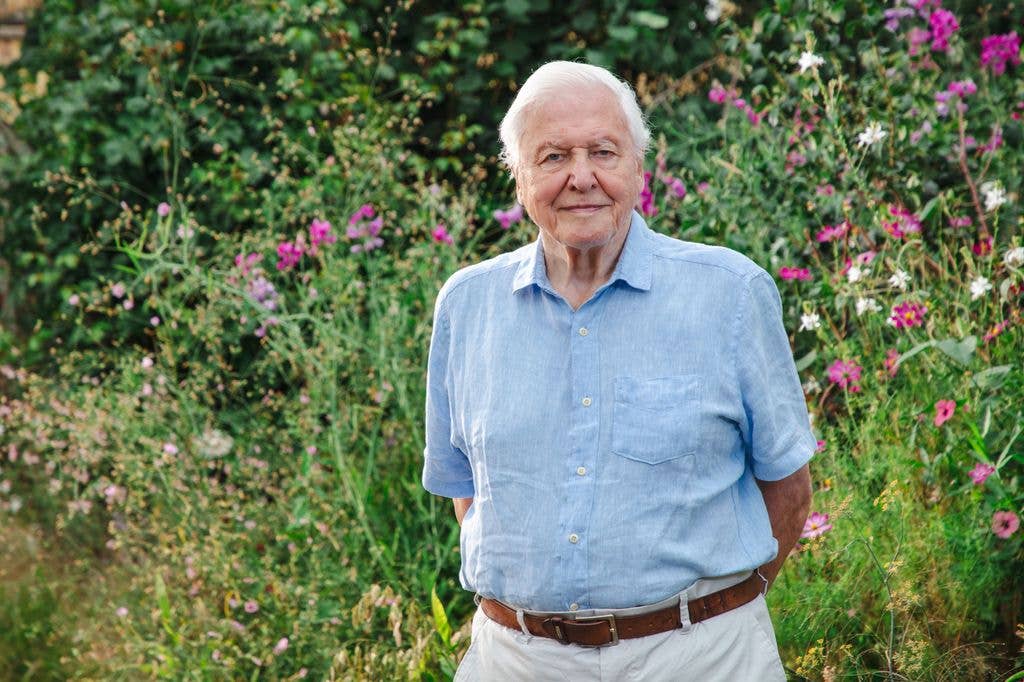 Sir David Attenborough - Secret Garden