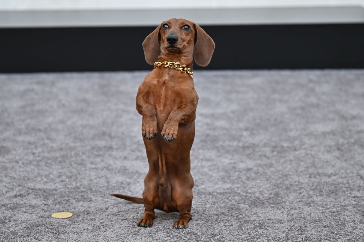 Jones at Netflix's "Beef" Season 2 World Premiere held at The Egyptian Theatre on April 08, 2026 in Los Angeles, California. 