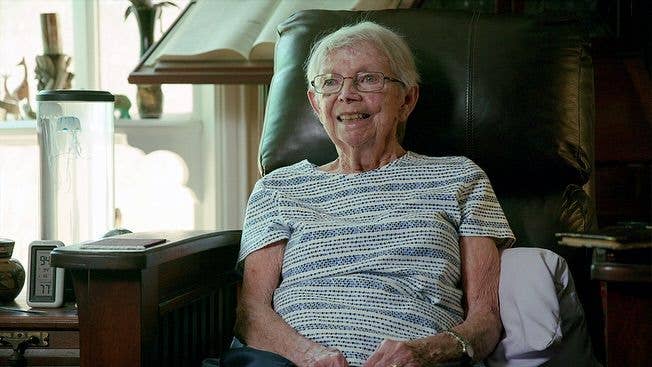 elaine merk binder wizard of oz