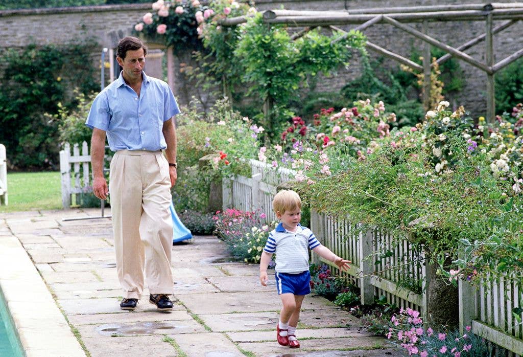 Prince Charles and Prince Harry by the swimming pool at Highgrove
