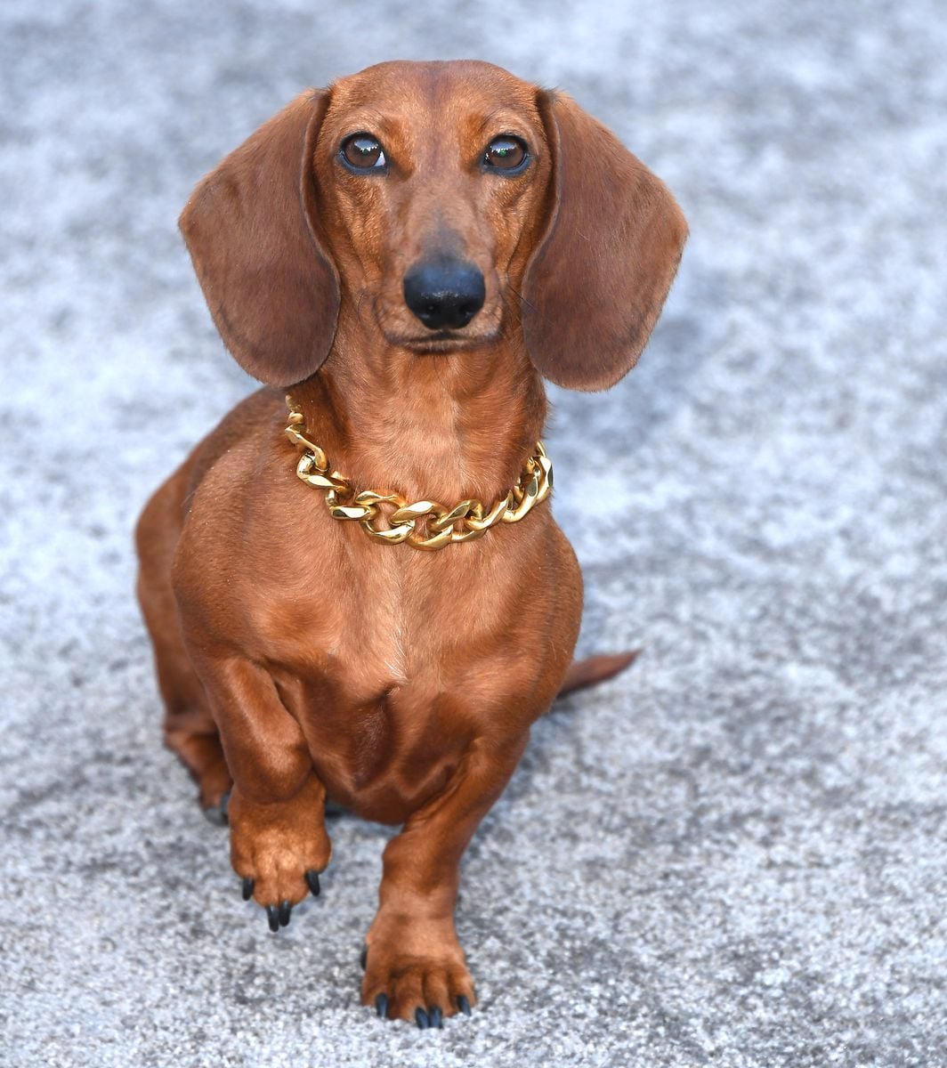 Beyond his role in the series, Jones has become a viral sensation in his own right.