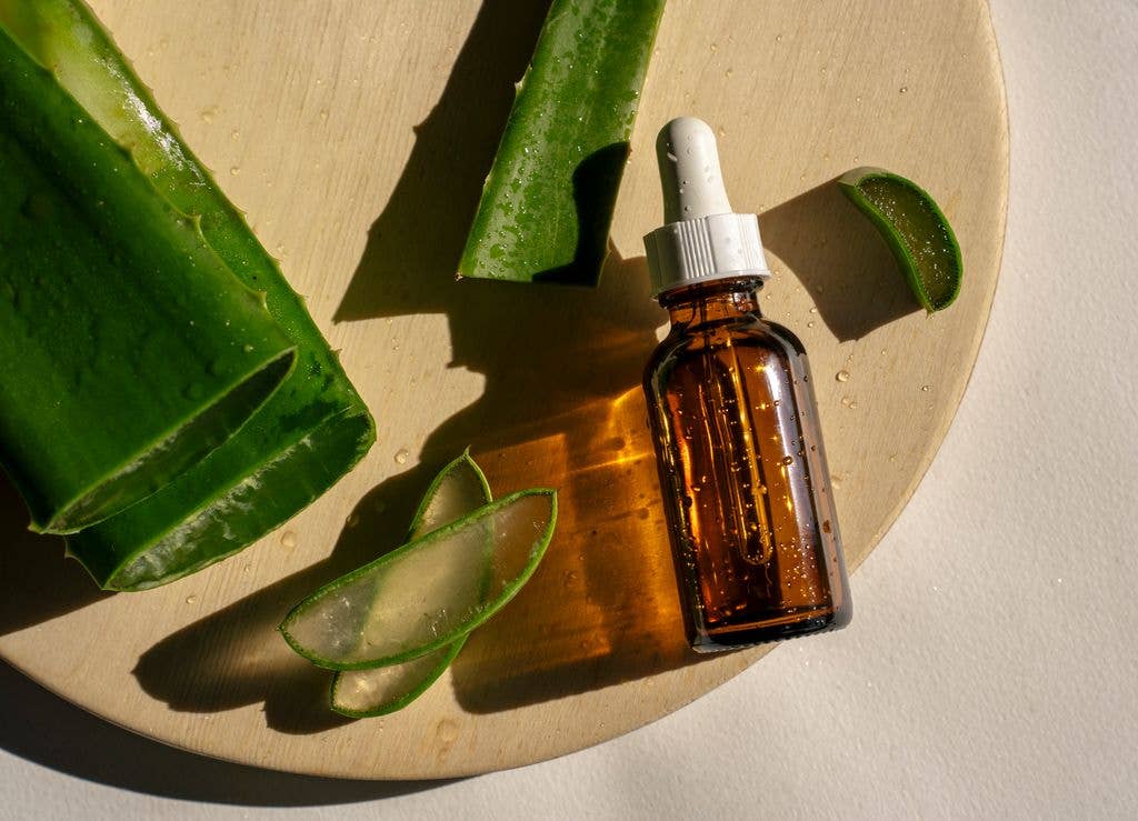 Slices of aloe vera plant and serum bottle in bright sunlight
