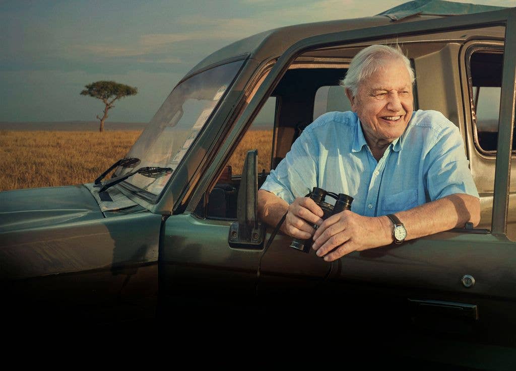 Sir David Attenborough is celebrating 100 years on planet Earth