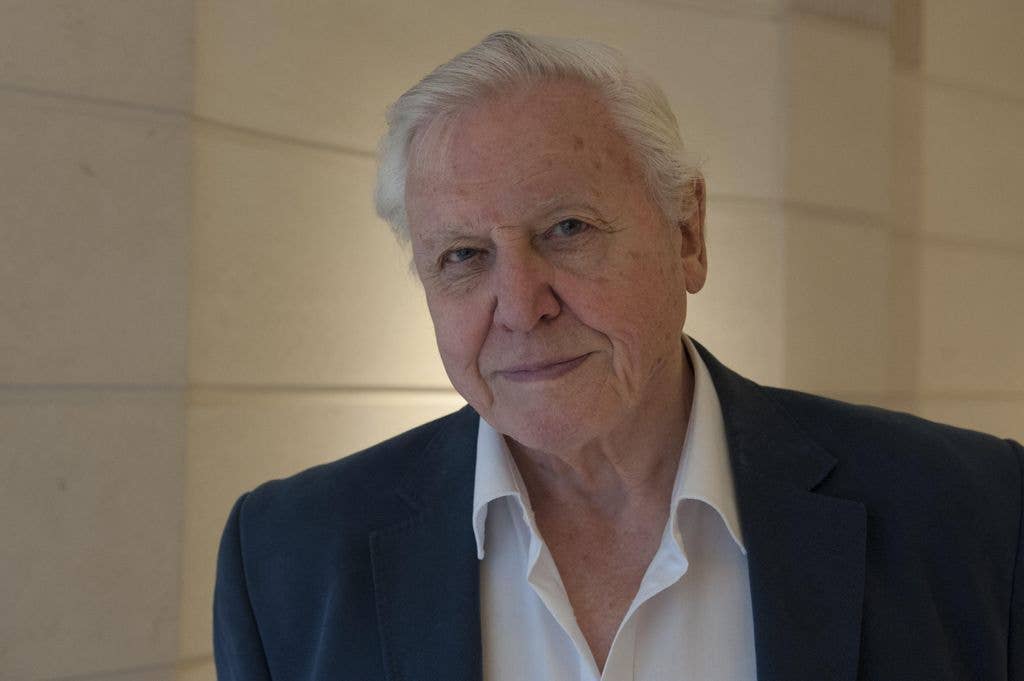 David Attenborough presents the BBC show Parenthood