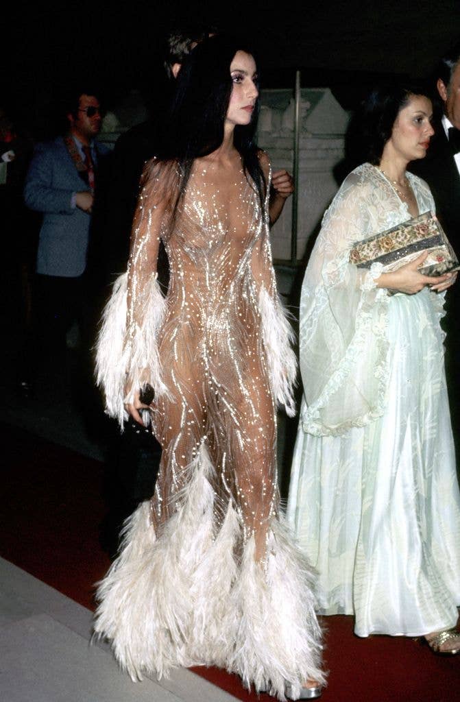 Cher in sheer dress