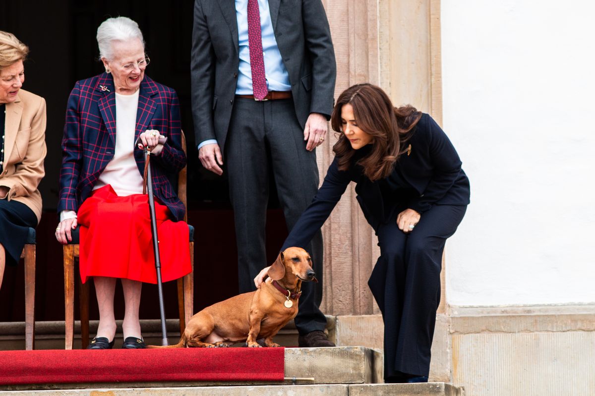 Queen Mary's spontaneous moment with the royal dogs