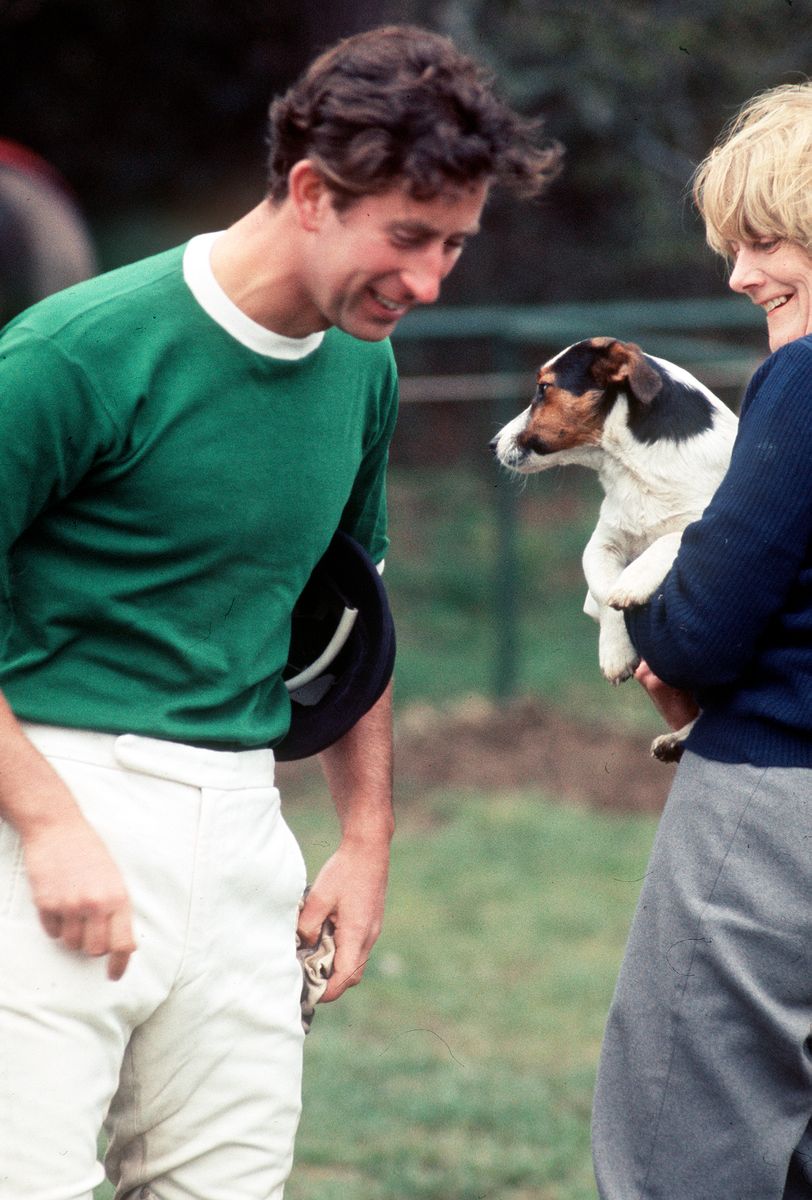 Charles has long been a fan of Jack Russells