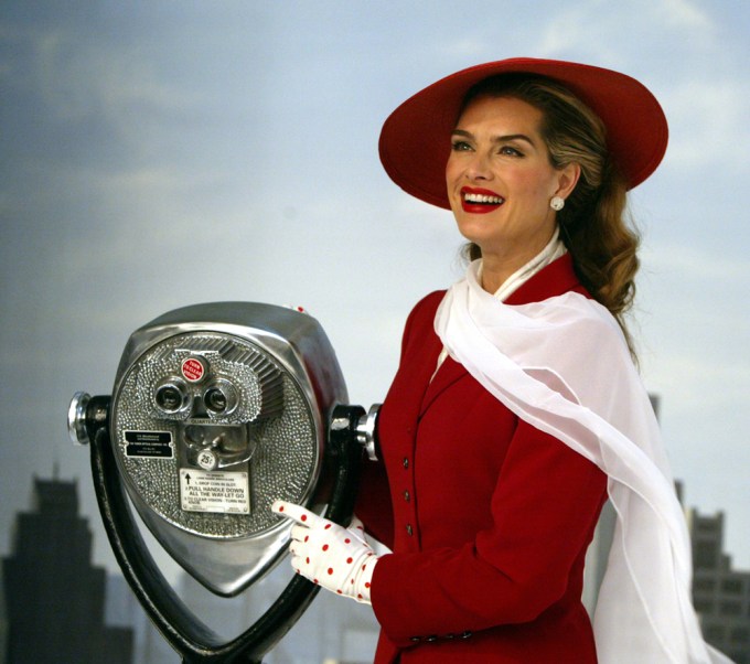Brooke Shields In 2004