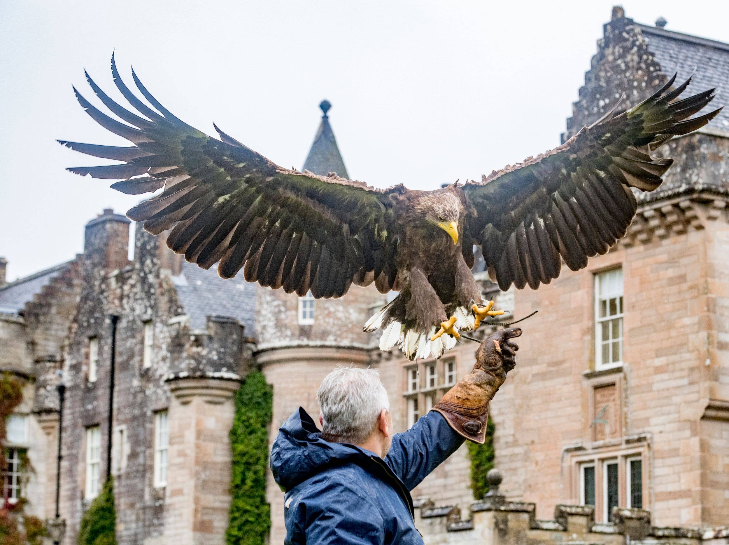 Try out falconry at Glenapp Castle, which is currently undergoing a significant facelift 