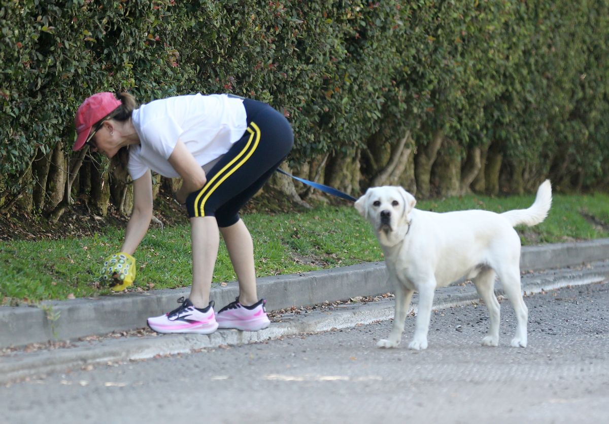 Photo © 2026 x17/The Grosby Group
EXCLUSIVE
Sunday, May 31, 2026 - Jennifer Garner looked super cute in cozy athleisure wear while taking her pup for an afternoon stroll around the neighborhood. Ever the courteous neighbor, Garner was spotted cleaning up after her dog, stopping to pick up its waste before continuing on her walk. ****
Jennifer Garner lució muy cómoda y adorable con un conjunto deportivo tipo athleisure mientras paseaba a su perro por la tarde en su vecindario. Siempre considerada con sus vecinos, la actriz fue vista recogiendo los desechos de su mascota antes de continuar su caminata.