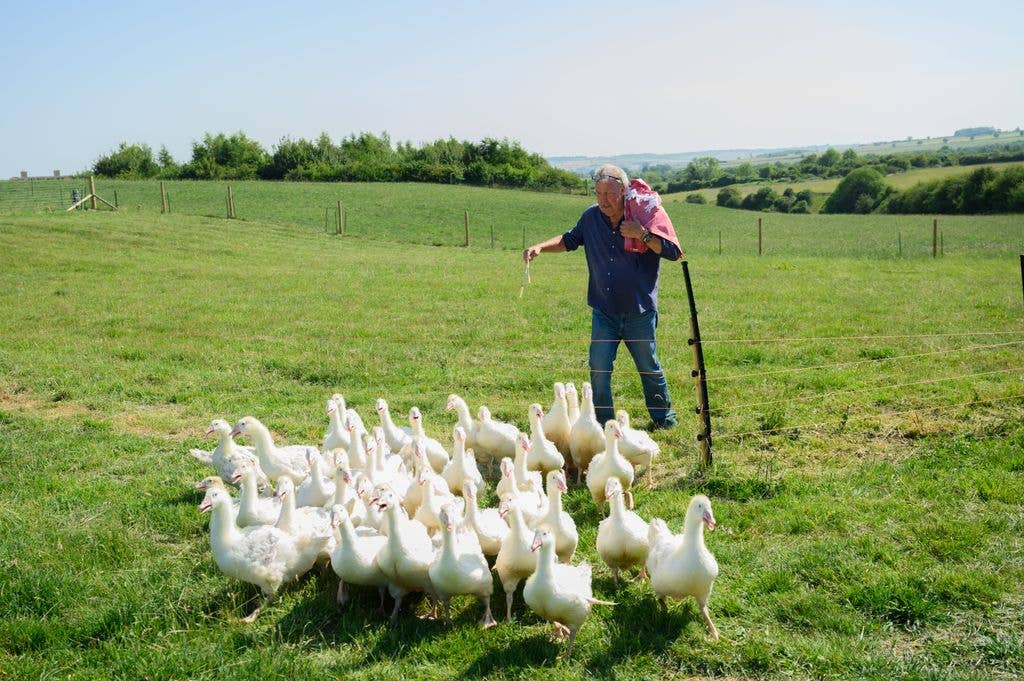 Jeremy Clarkson on his Diddly Squat farm 