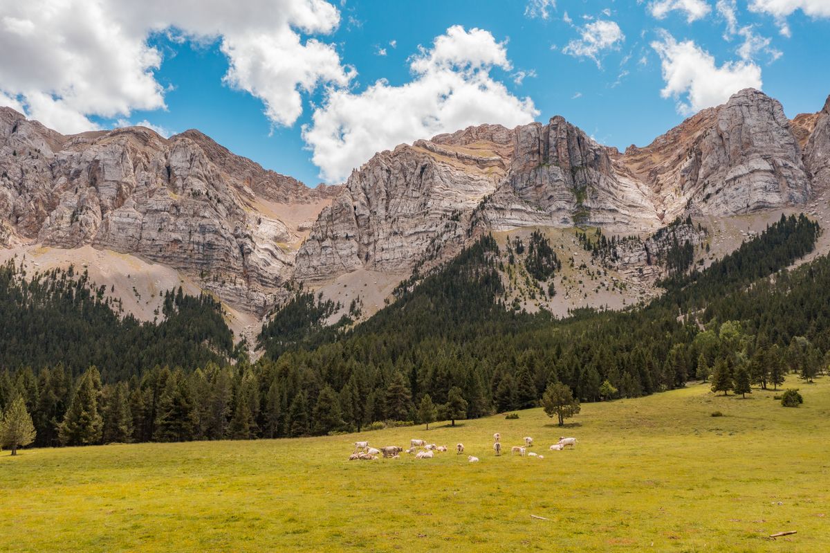 View of Prat de Cadi­, route from Estana in Pyrenees Range, Cerdanya, Catalonia. On arrival you can see the magnificent rocks and the beautiful picture that lets us relax for a while there.