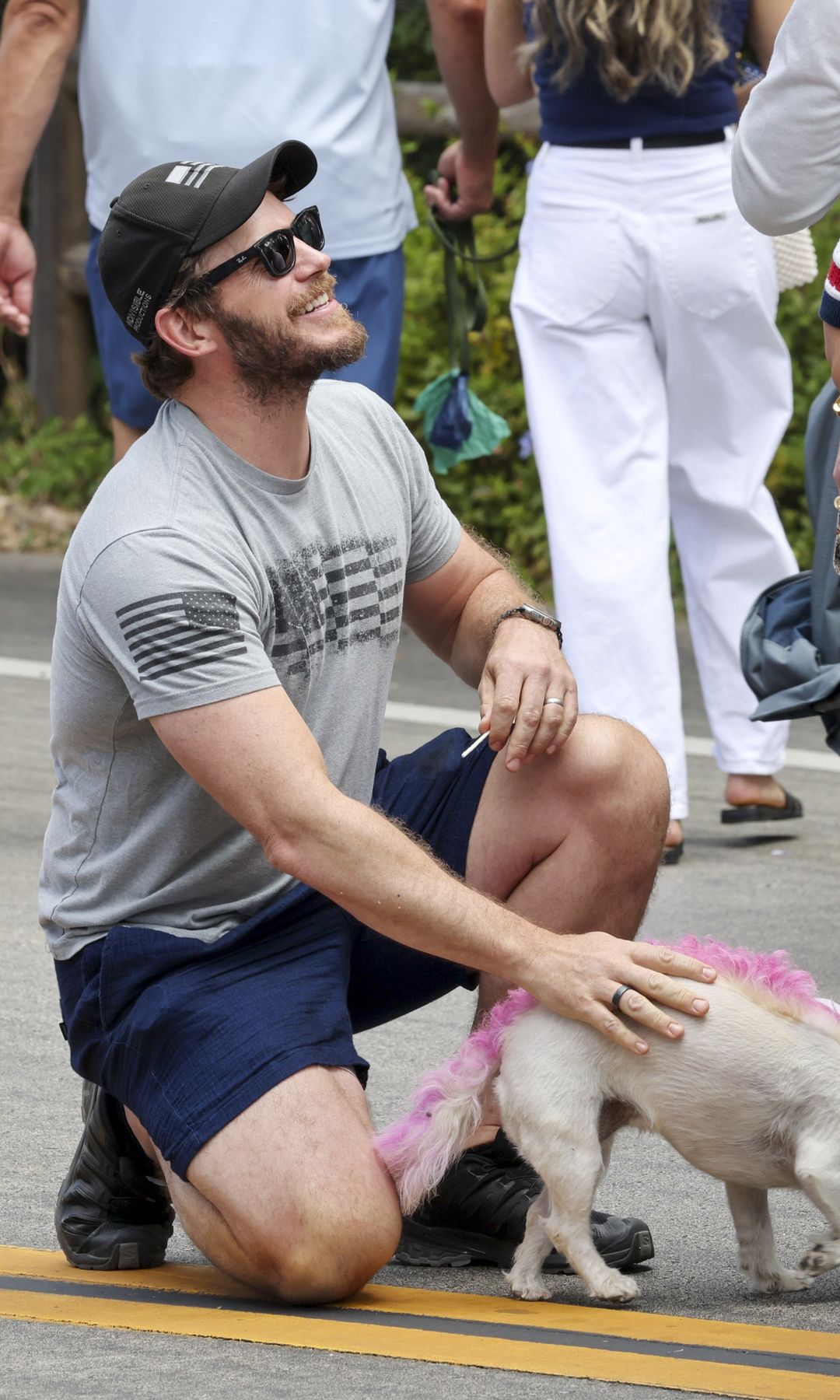 Pratt was photographed petting some dogs and wearing a grey US t-shirt