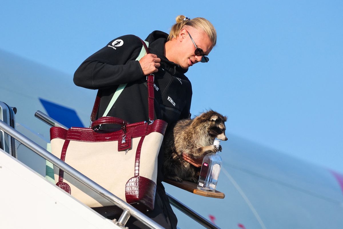 Erling Haaland goes viral after carrying taxidermy raccoon through airport