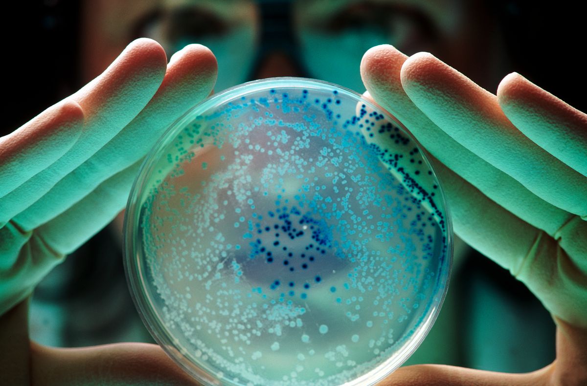 Researchers are developing textile fibers produced by bacteria fed with agricultural waste