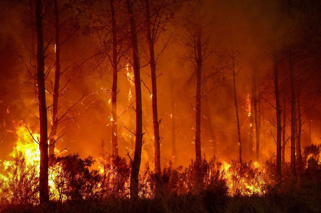 A forest fire rages in Saint-Jean-d'Illac, near Bordeaux in France