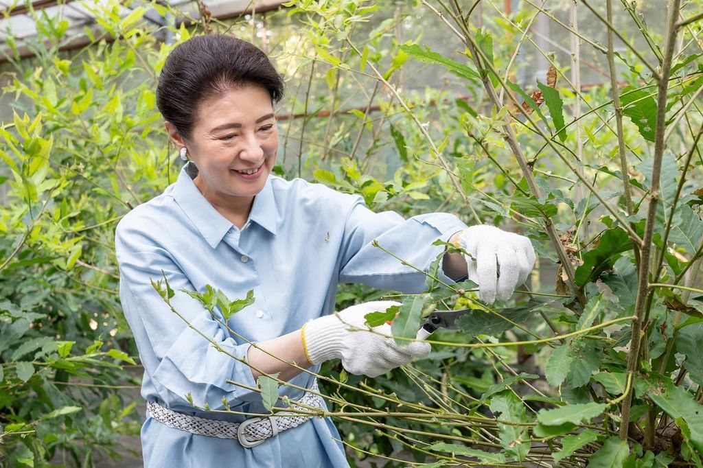 Empress Masako carries on Japan's 155-year-old imperial tradition in rare palace ritual