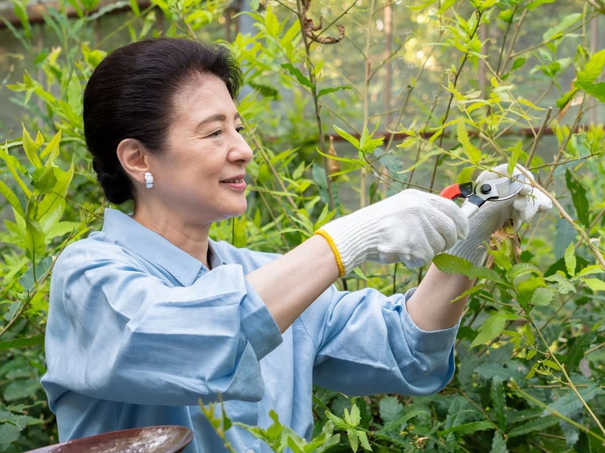 Empress Masako carries on Japan's 155-year-old imperial tradition in rare palace ritual