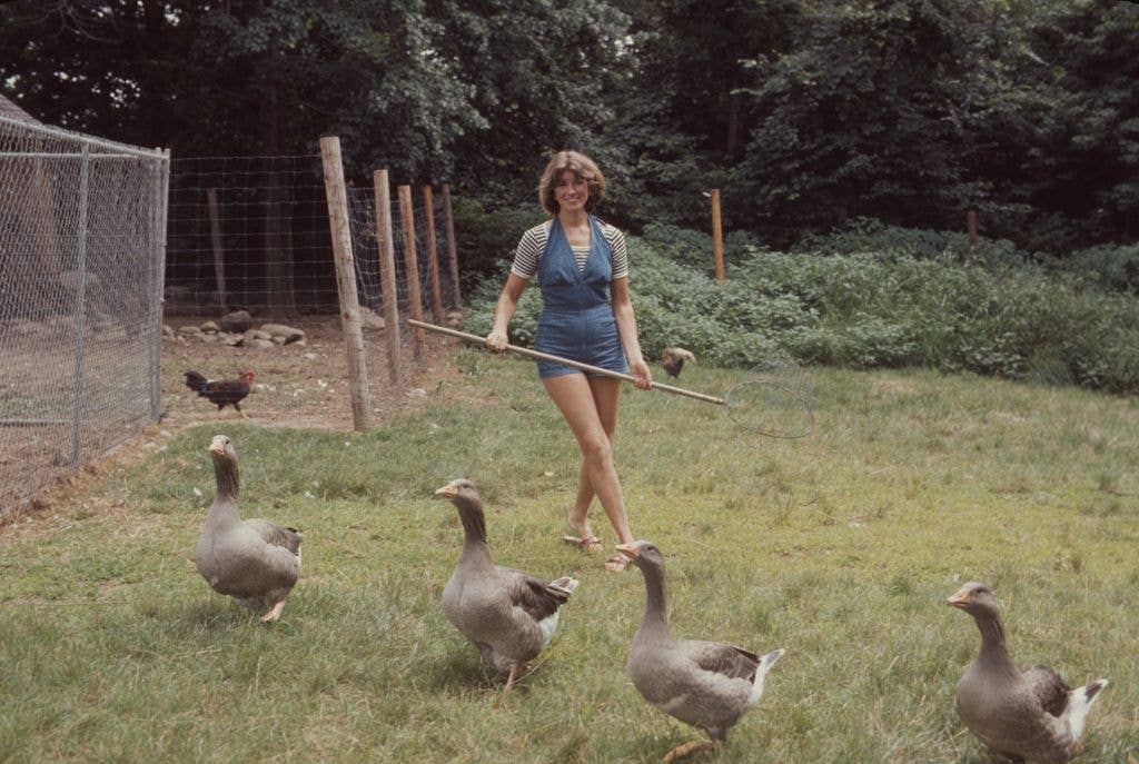 Martha herds geese on the grounds of her home,  Westport, Connecticut, August 1976. 