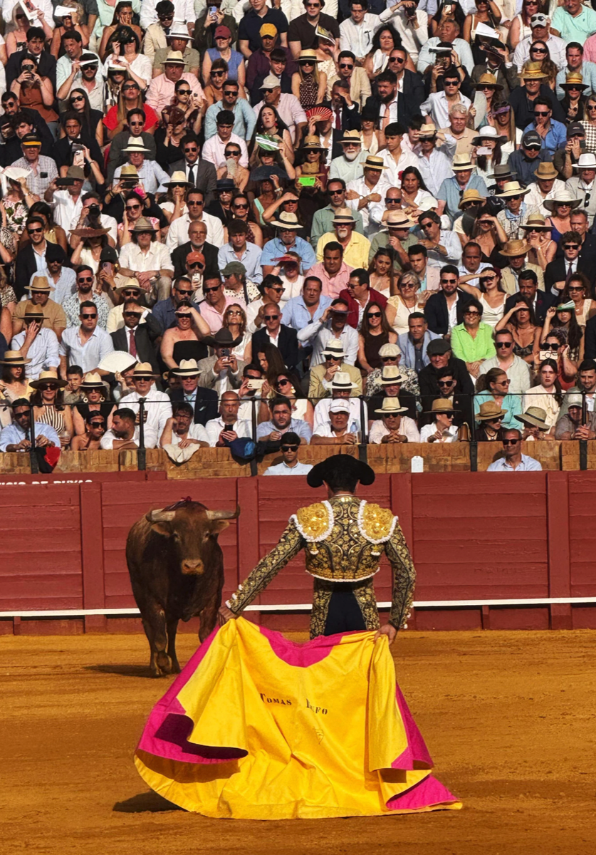 Rocco Ritchie's Spain photo diary included scenes from a traditional bullfight, prompting mixed reactions online.