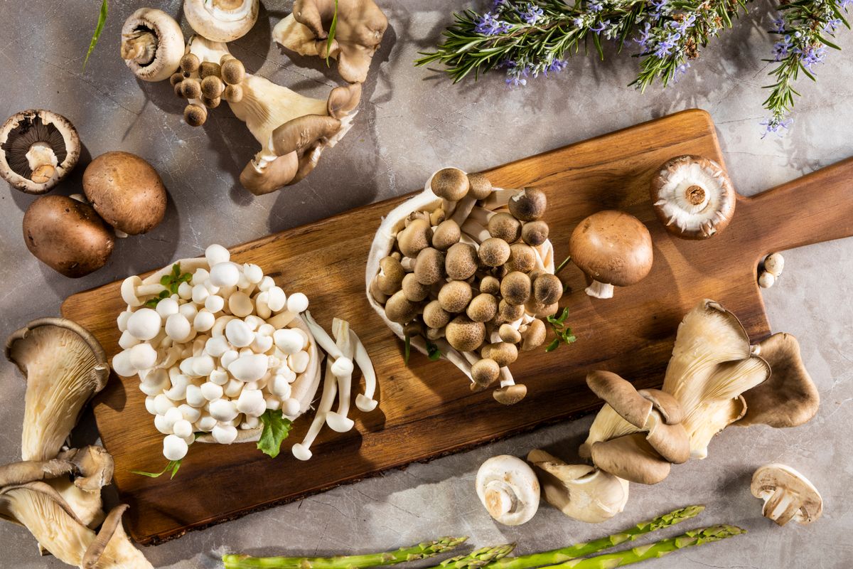 Mushroom-based materials, often made from mycelium, can be used to create leather-like textiles