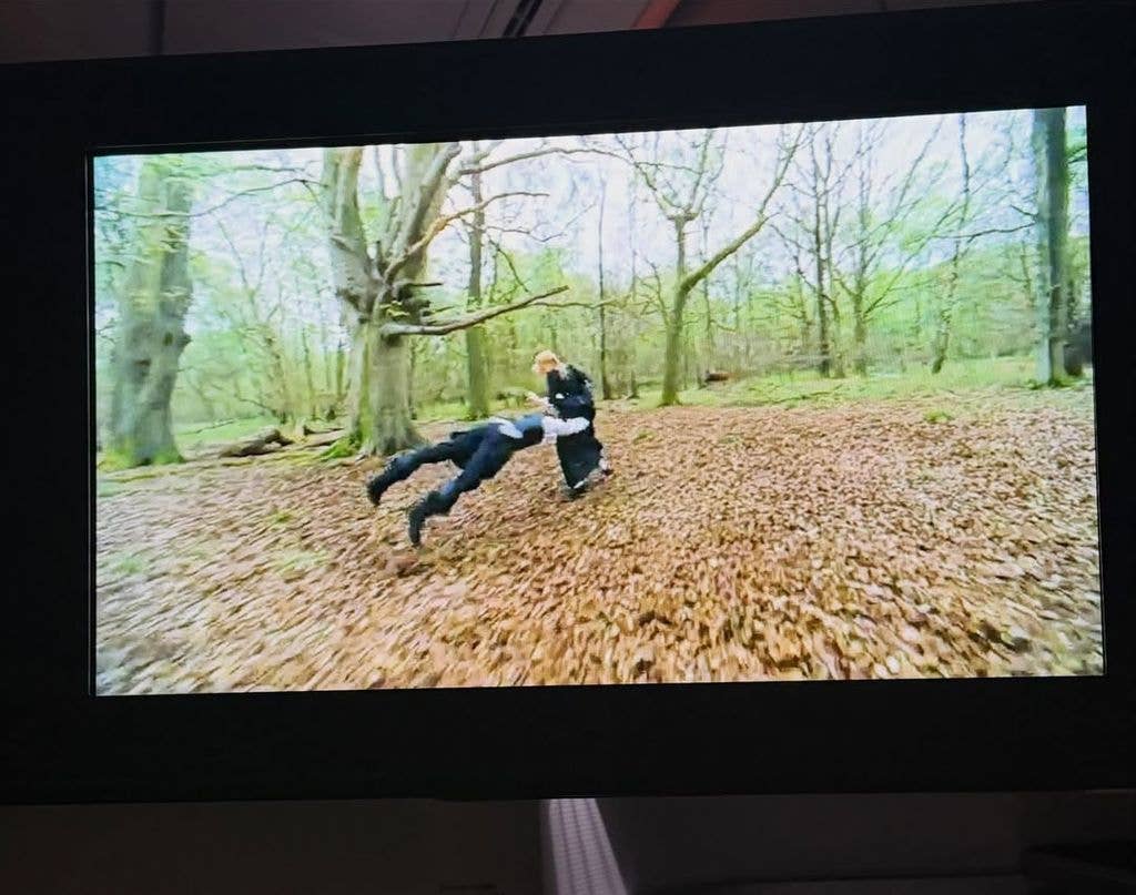photo of joe alwyn and emma stone in the woods in the favourite