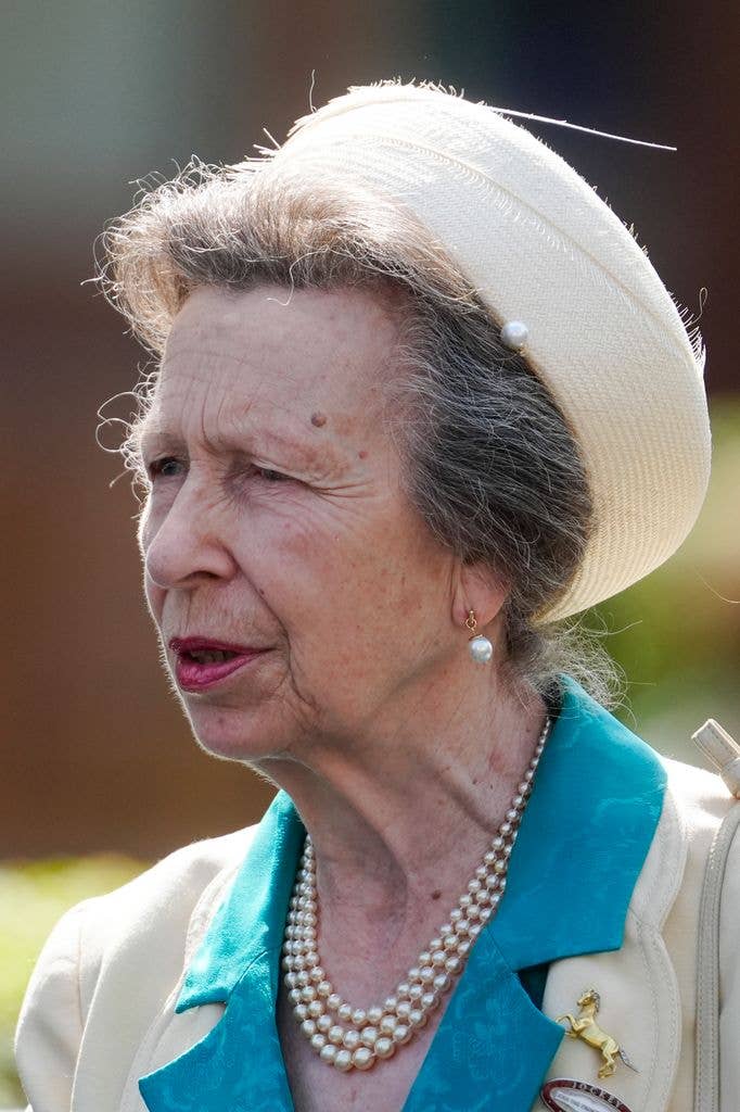 Princess Anne wore her beloved gold and diamond horse brooch