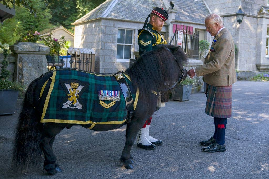 Charles, Prince of Wales, in a kilt, pets a small black horse with a decorated blanket.