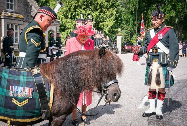 queen pony balmoral
