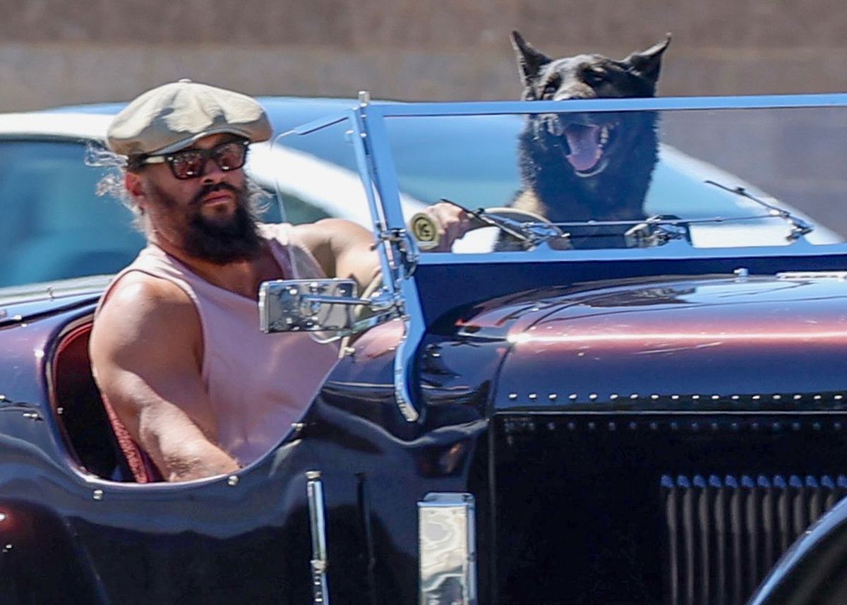 Jason Momoa and his dog driving through Calabasas