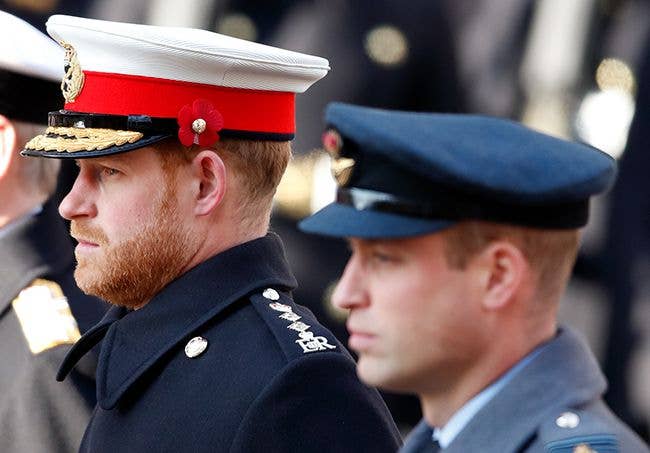 prince harry prince william cenotaph