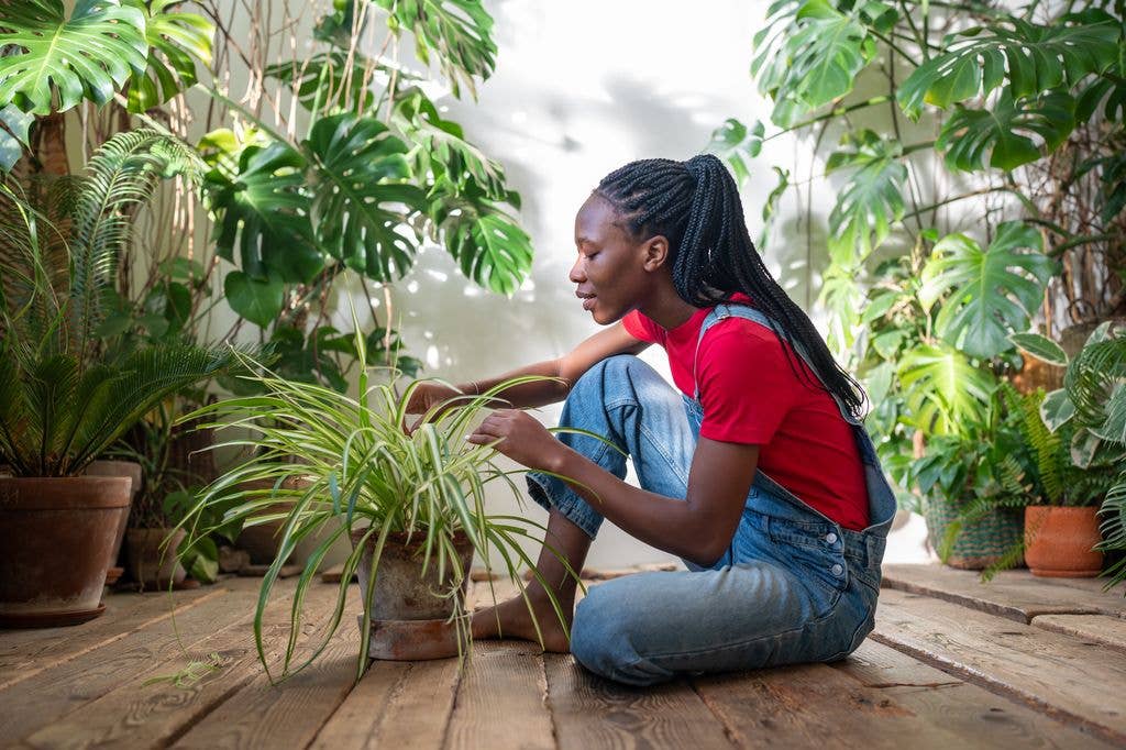 A woman in a red shirt and blue overalls sits on a wooden floor, tending to a potted plant among many others.
