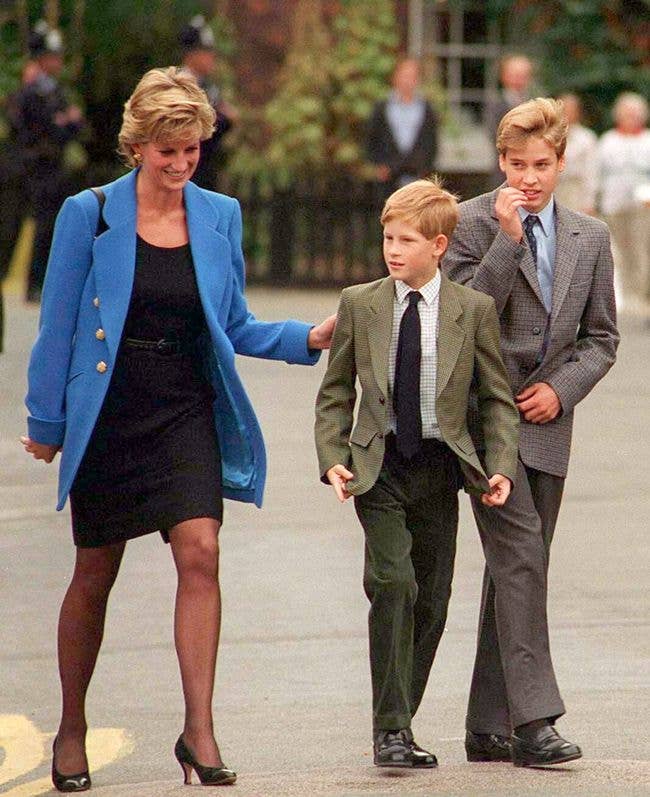 harry william diana