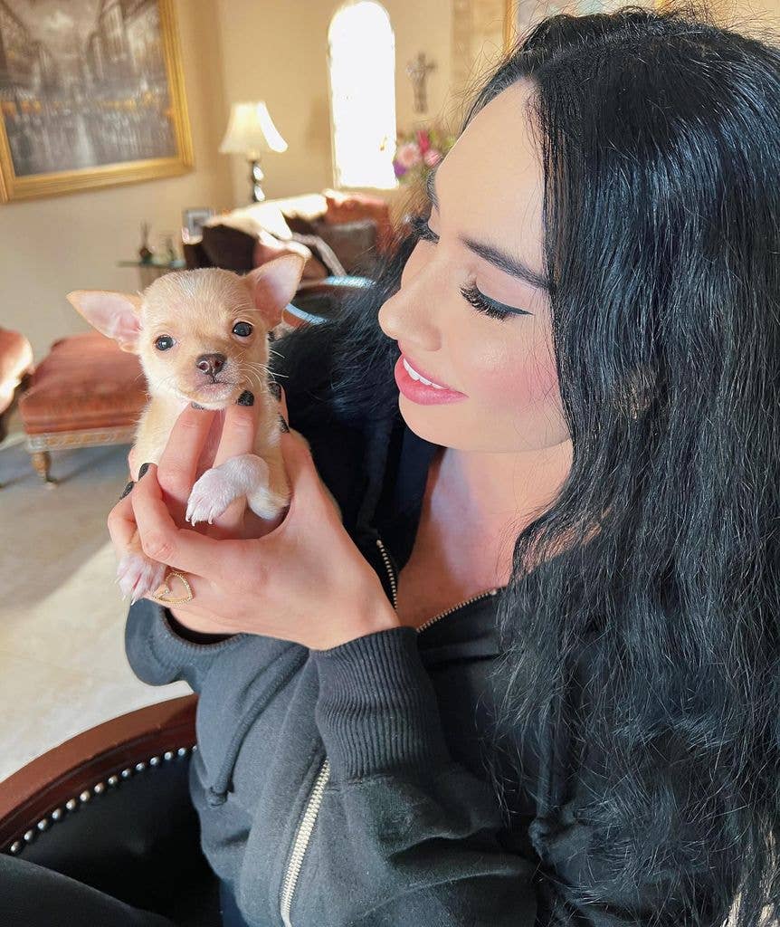 A woman with long dark hair and a black hoodie smiles as she holds a small tan chihuahua puppy in her hands, indoors in a living room with a lamp and framed artwork in the background.