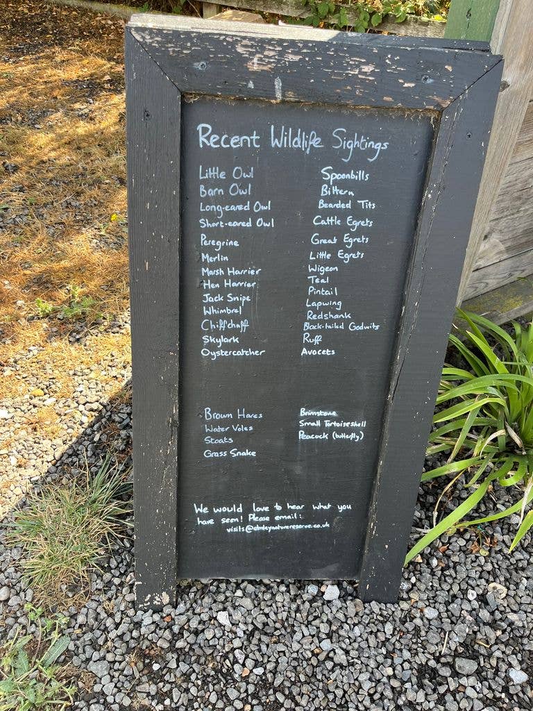 The list of recent birds and animal sightings 